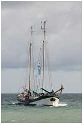 Hanse Sail 2012