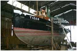 Dampfschlepper Tiger