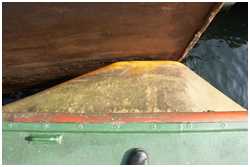 Fender (Lotsenboot Schnatermann)