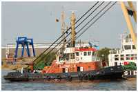 Schlepper Steinbock