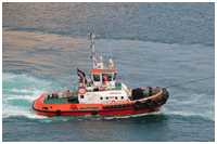Schlepper Wenzina