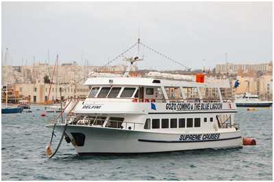 FGS Delfini