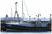 17-Meter-Kutter Marlen (Bild: Dirk Schütz)