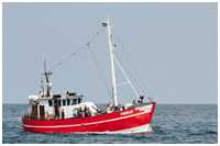 17-Meter-Kutter Doberan