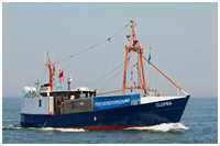Fischereiforschungskutter Clupea