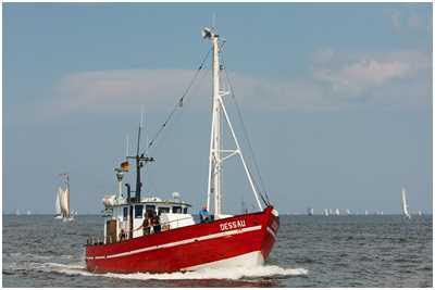 17-Meter-Kutter Dessau