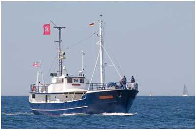 26,5-Meter-Kutter Riesenhai