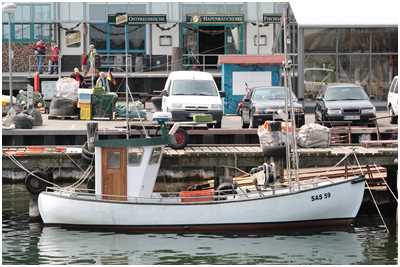 Fischkutter Blankaal (Bild: Dirk Schütz)