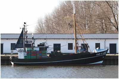 Fischkutter Einheit (Bild: Dirk Schütz)