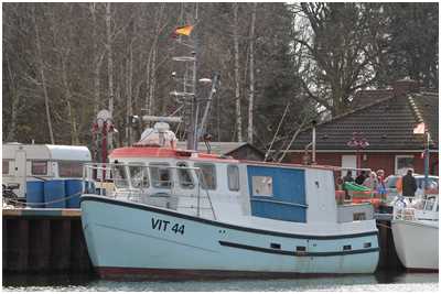 Fischkutter Karin (Bild: Dirk Schütz)