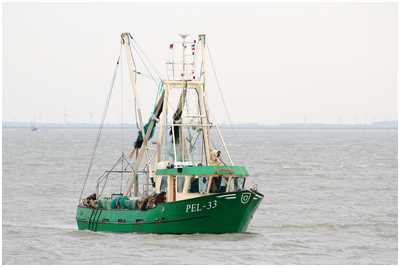 Krabbenkutter Columbus