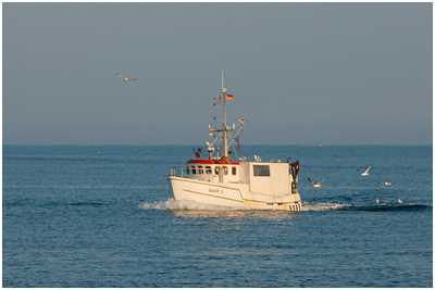 Fischkutter Moby Dick