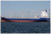 Containerschiff Hermes Arrow (Bild: Dirk Schütz)