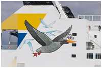 Ro-Pax-Fährschiff Akka