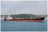 MS Volga-4002