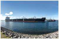 Bulk-Carrier Guo Tou 303