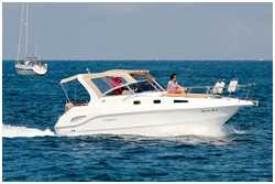 Drago 29