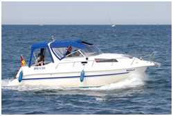 Drago 22