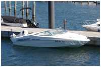 Quicksilver 550 Sport