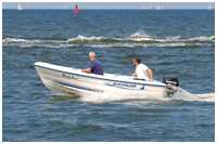 Quicksilver 410