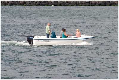 Quicksilver 500 Dragonfly