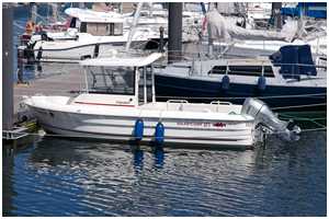 Smartliner 21 Fisher