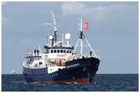 Offshore-Supporter Krebs Research
