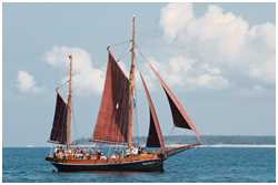 Haikutter-Regatta