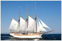 Hanse Sail 2007