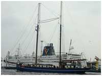 Heringslogger Oban