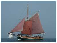 Jagt Ellen