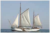 Frachtewer Berta