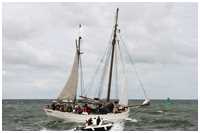 Heringslogger Pirola