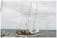 Stagsegelschoner Catharina
