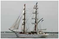 Brigg Aphrodite