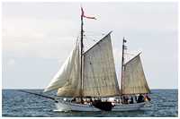 Frachtewer Berta