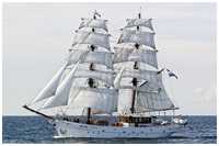 Brigg Aphrodite
