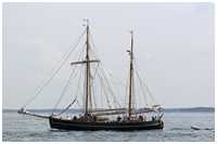 Galeasse Fulvia