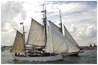 Heringslogger Pirola