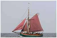 Jagt Ellen