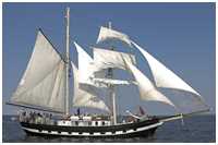Schonerbrigg Willem