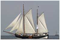 See-Ewer Amazone