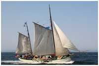 Frachtewer Berta