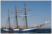 Dreimast-Großtoppsegelschoner Fridtjof Nansen