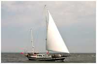Holland-Klipper Galene