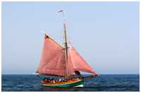 Jagt Ellen