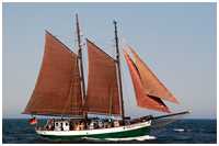 Hanse Sail 2007
