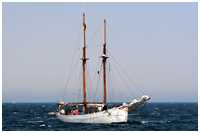 Schoner Nordwind