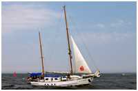 Seekreuzer Greif von Ueckermünde