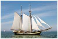Gaffelschoner Zuiderzee